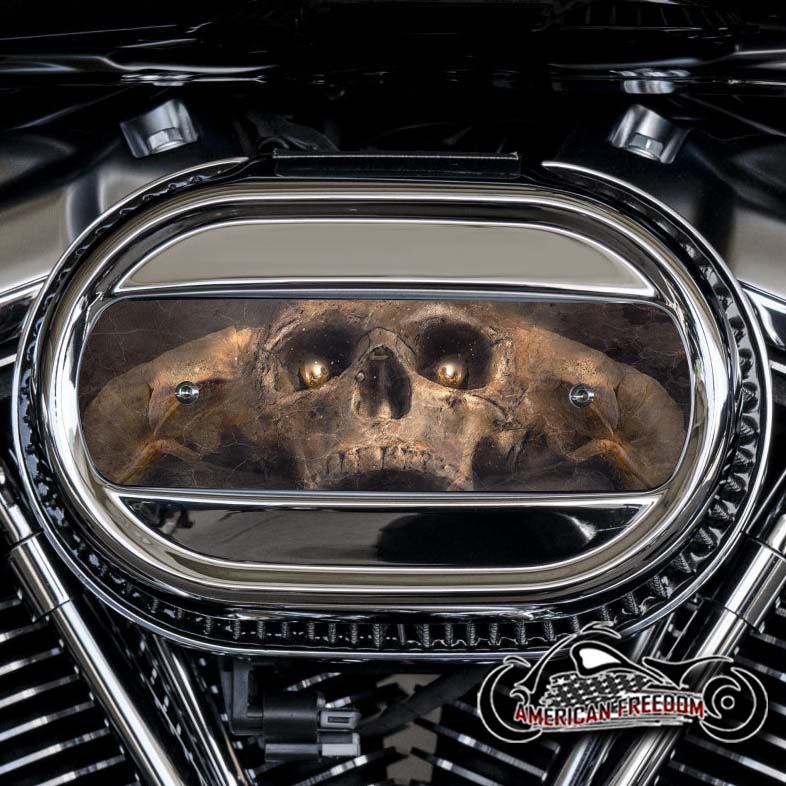 Harley Davidson M8 Ventilator Insert - Gold Eyes Skull